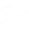 Bundesliga