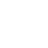 Russian Cup