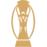 Vietnamese Cup