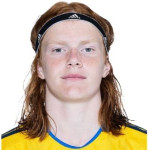 Elvis van der Laan