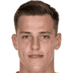 Radek Vitek