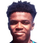 Bryce Hosannah