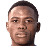 Wilfried Ndollo